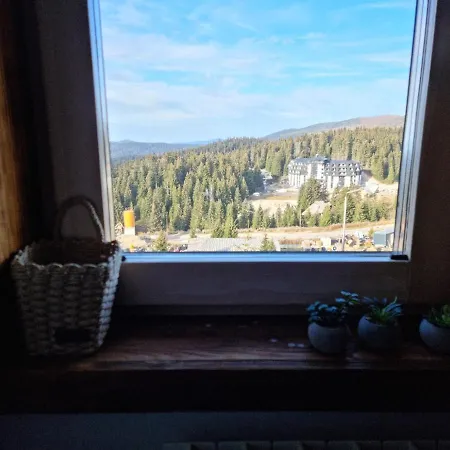 Apartment Bb 301, Zupa Kopaonik