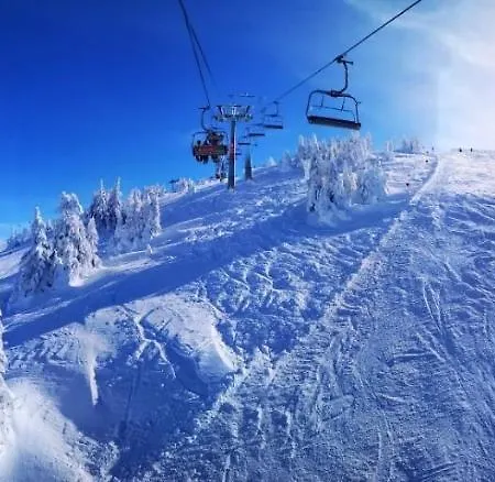 Apartment Bb 301, Zupa *